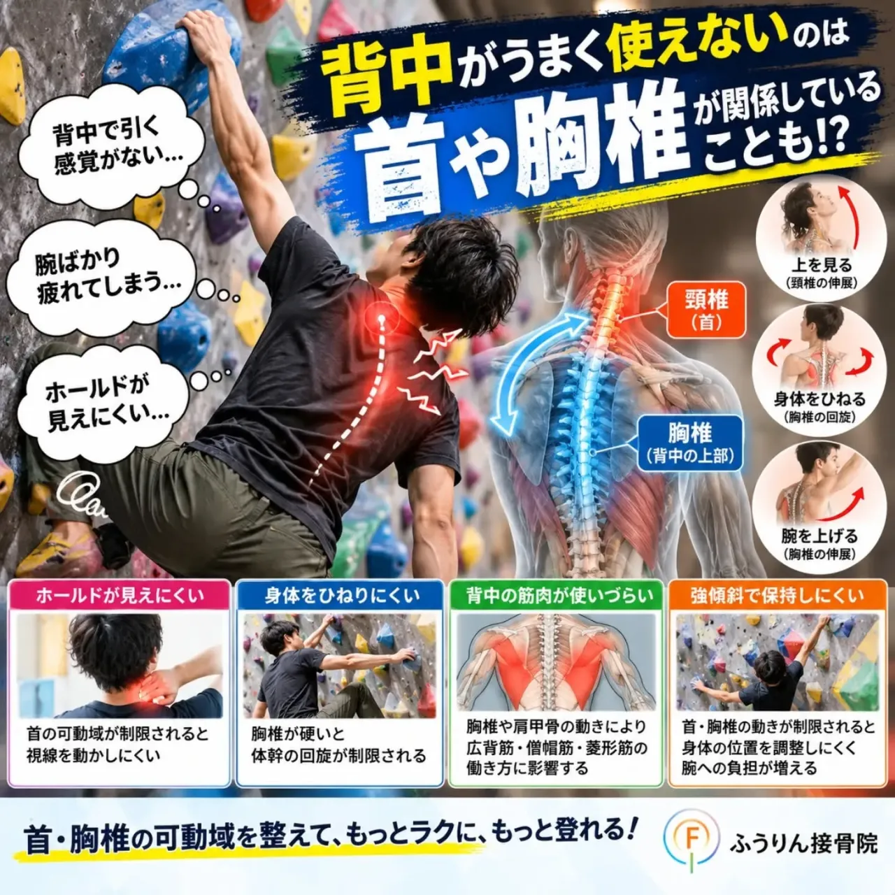 🧗♂️ 首と胸椎が硬いと登りにくい!?